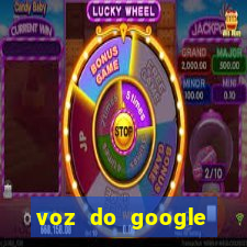 voz do google tradutor homem